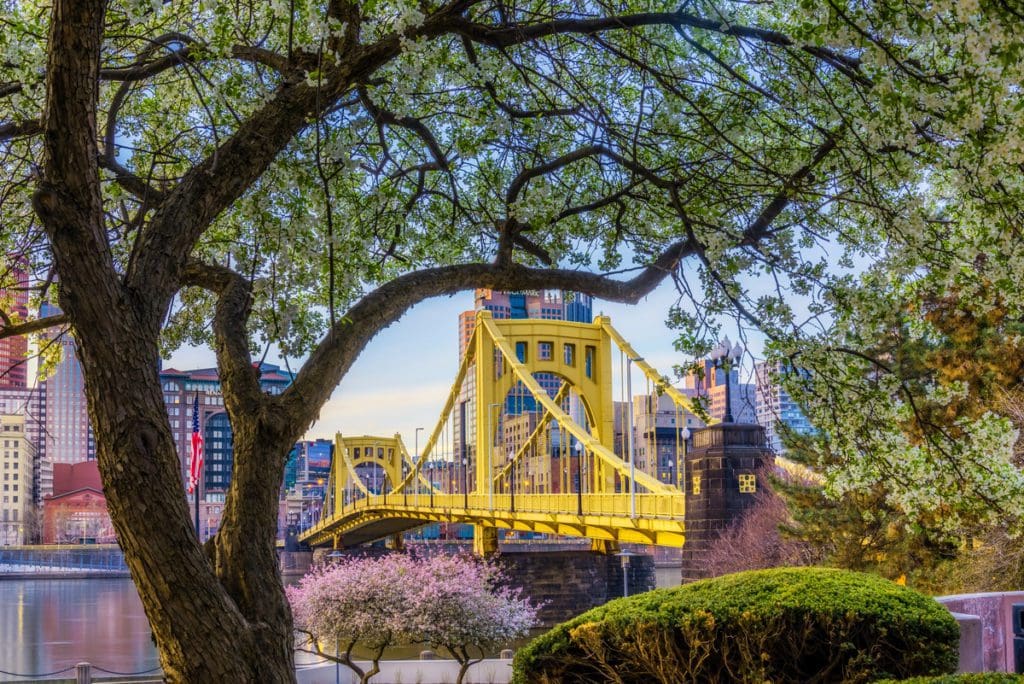 The iconic yellow bridge in Pittsburgh seen through spring trees.e