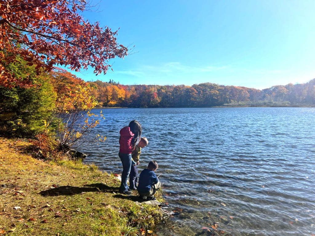 A young girl and two small boys look into a lake on a chilly fall day in Pittsfield State Forest, one of the best places to explore on this weekend getaway itinerary for families in Pittsfield.