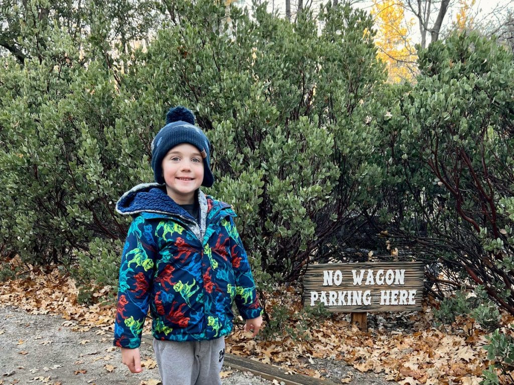 A young boy hikes along a trail in Lake Arrowhead, California.