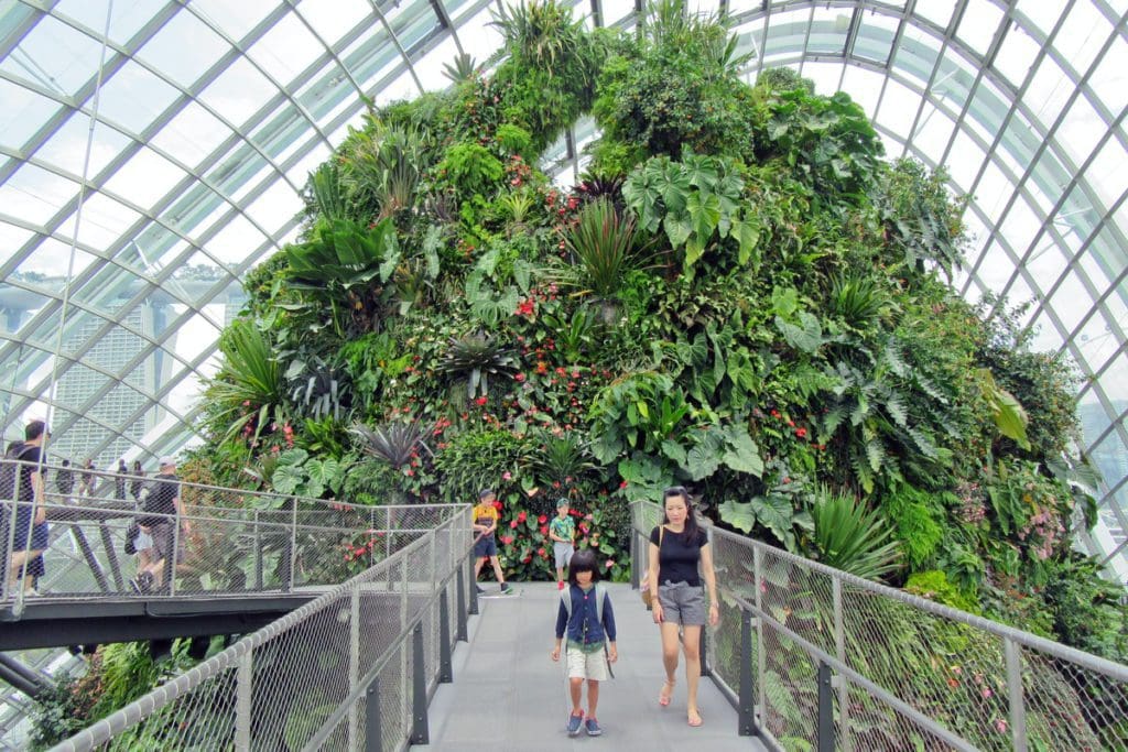 People walk along a pathway inside Gardens of the Bay, exploring the Cloud Forest.