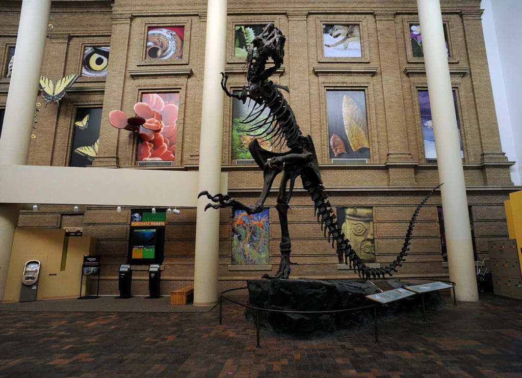 A dinosaur skeleton in the lobby of the Denver Museum of Nature & Science, one of the best places to visit on a Denver itinerary for families!