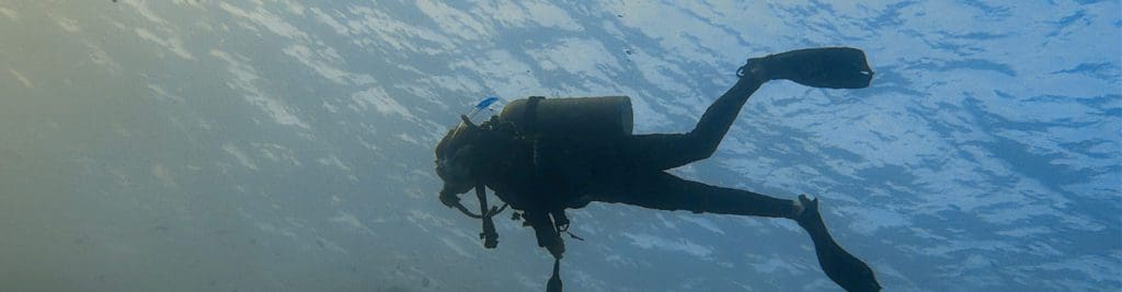 A scuba diver underwater explores the waters of Sharm el-Sheikh.