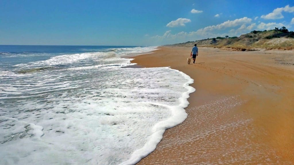 Man and dog walking on the beach with the foamy wave crashing the sand at Ponte Vedra Beach, one of the best Florida beaches for families.