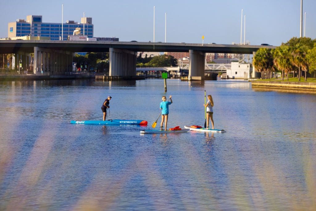 Three people stand-up paddleboard on Tampa Bay.