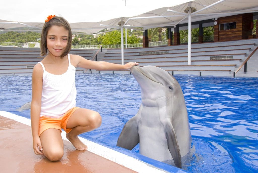 A young girl reaches out and touches the nose of a dolphin at Marineland Mallorca.