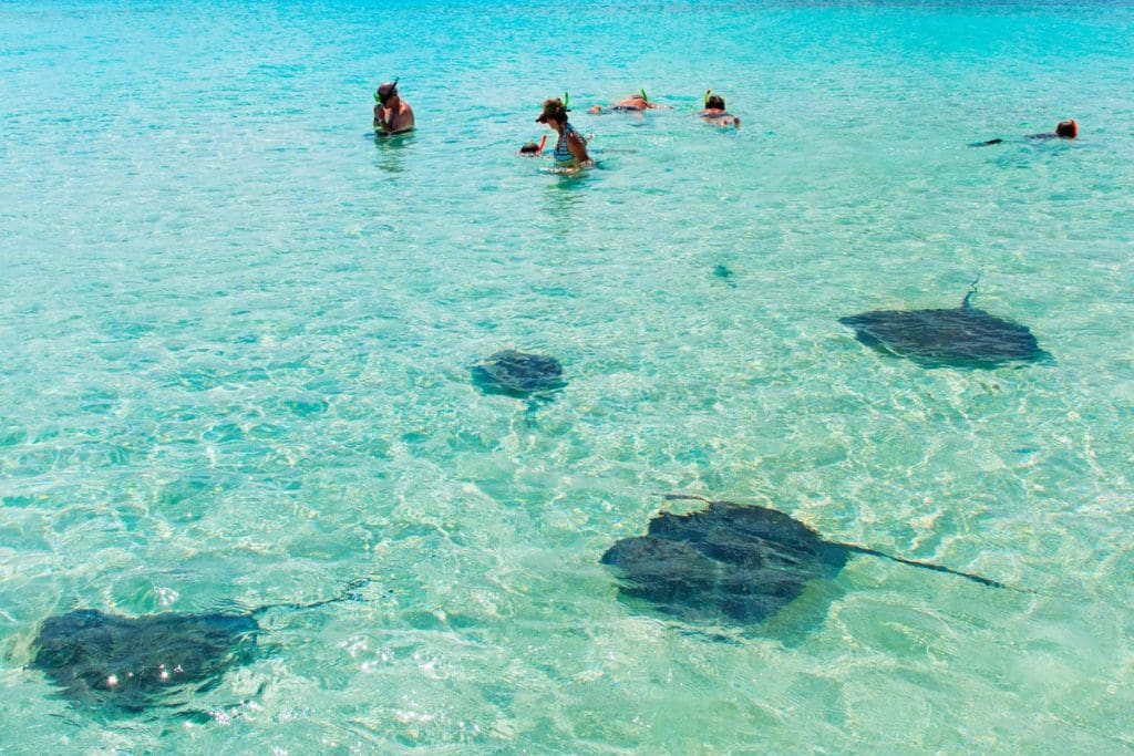 A family snorkels amongst the stingrays at Gibbs Cay, one of the best things to do in Turks & Caicos with kids.
