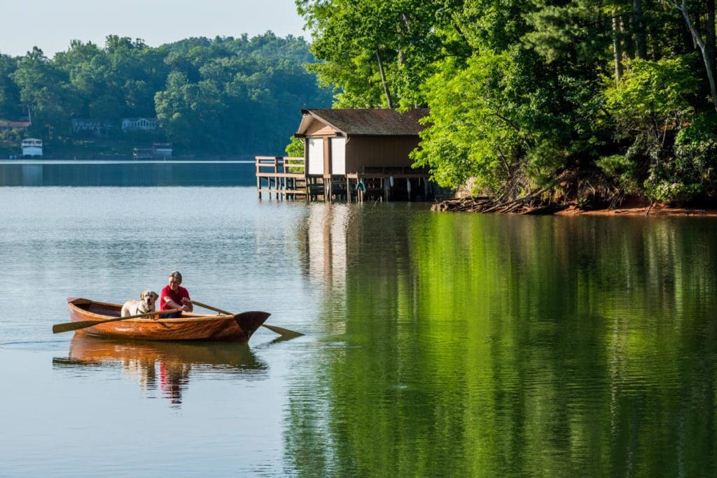 A person and their dog row a rowboat across Lake Lure, one of the best lakes in North Carolina for a family vacation.