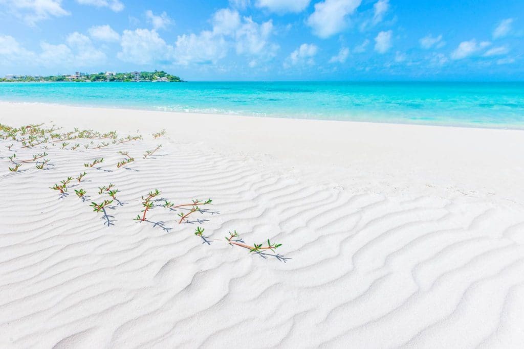 The white sands of Taylor Bay Beach on a sunny day.