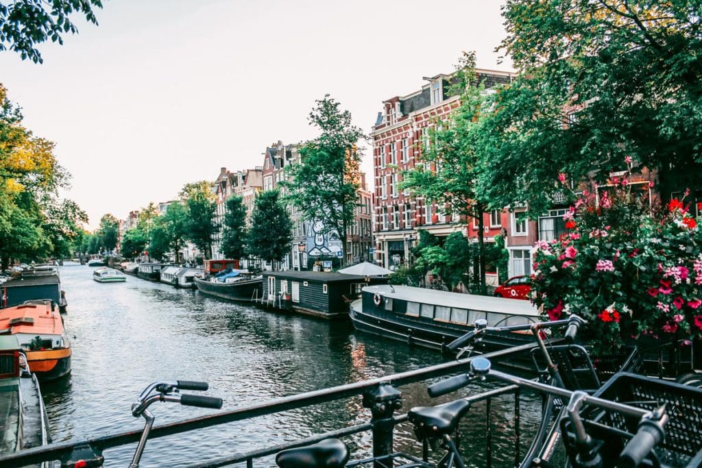 Looking down a canal in Amsterdam, with flowers along the waters edge in full bloom.