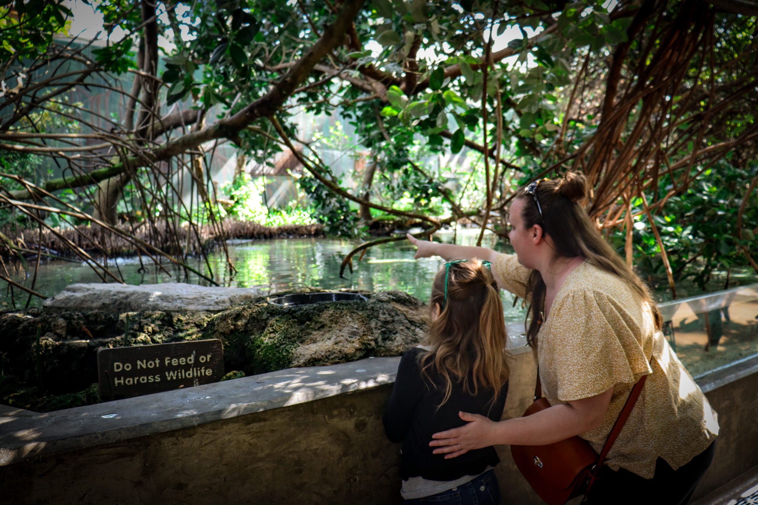 A mom points to something for her daughter in an exhibit at The Florida Aquarium.