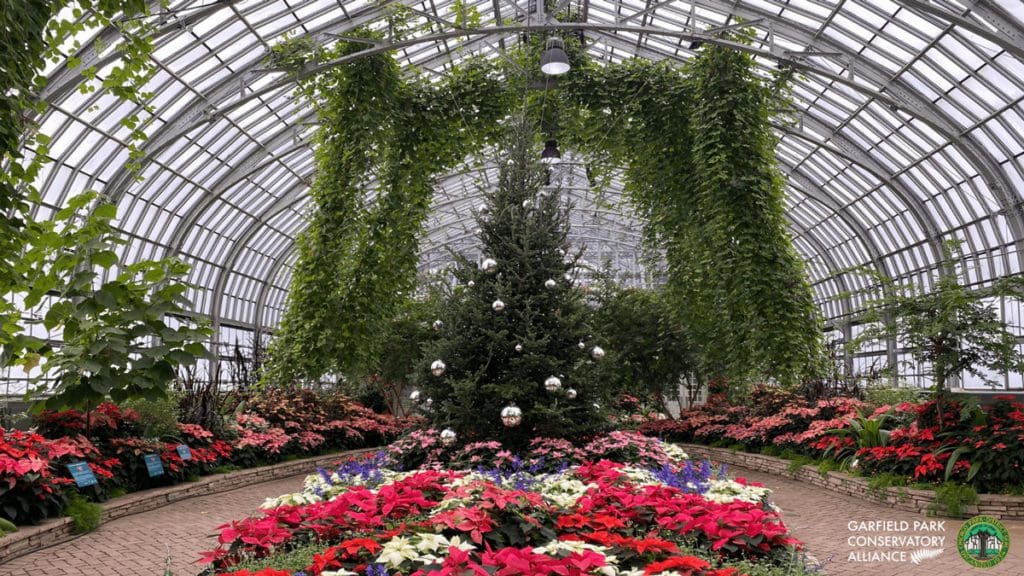 Inside a Christmas display at Garfield Park Conservatory in Chicago.