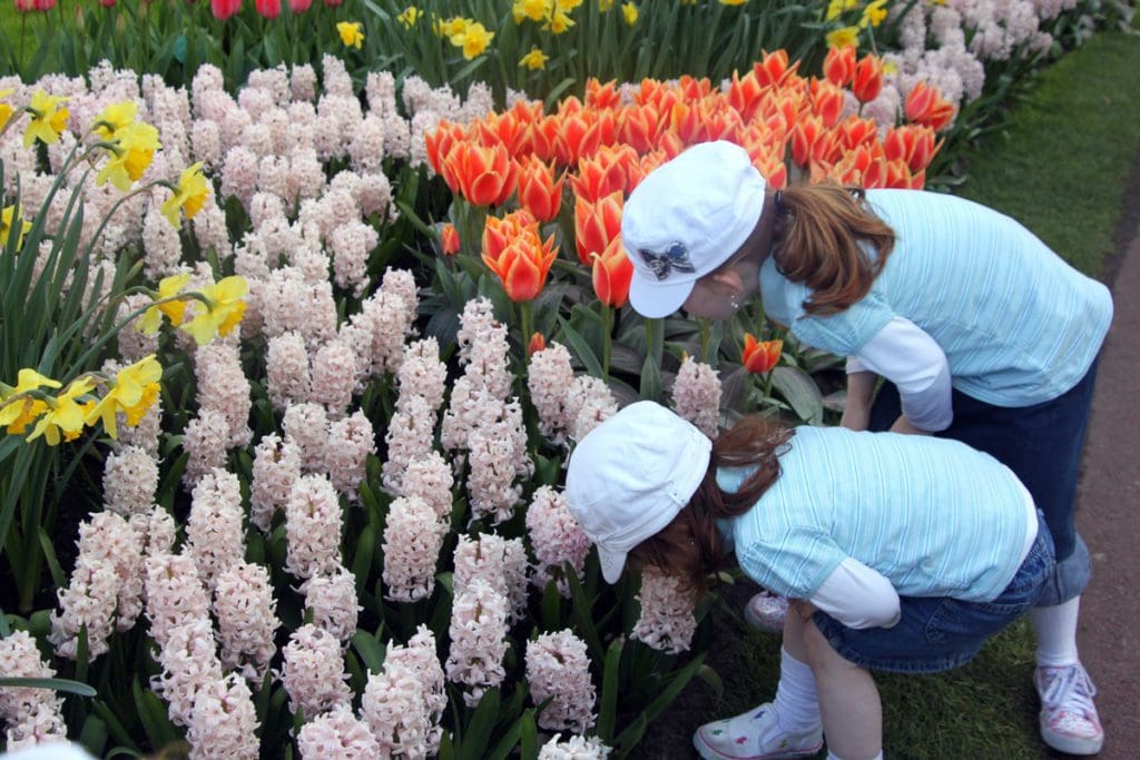 Two girls lean over to smell tulips in the Netherlands.