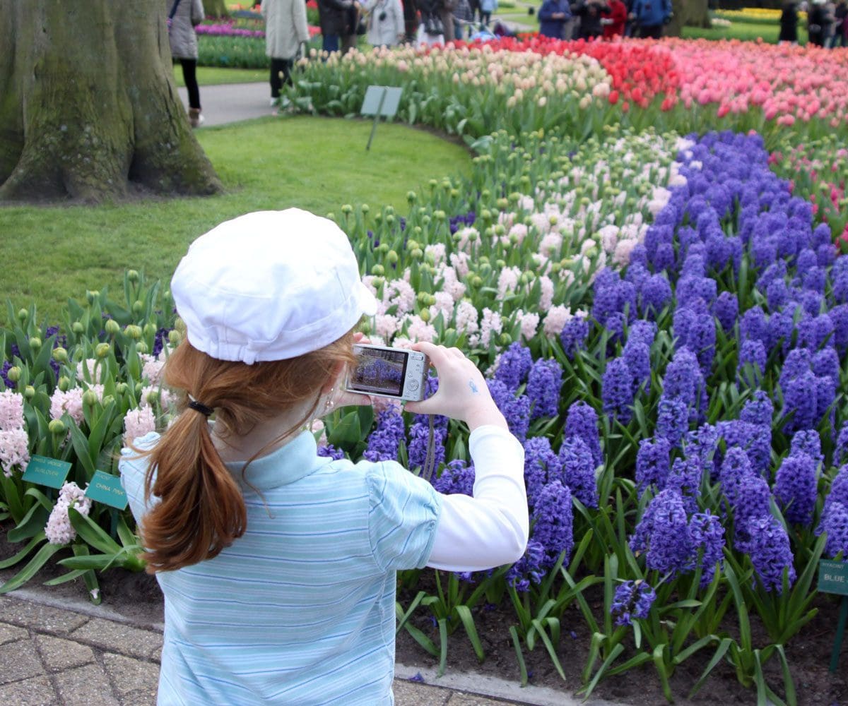 A young girl takes a picture of colorful flowers in Keukenhof, one of the best places to go in the Netherlands with kids.