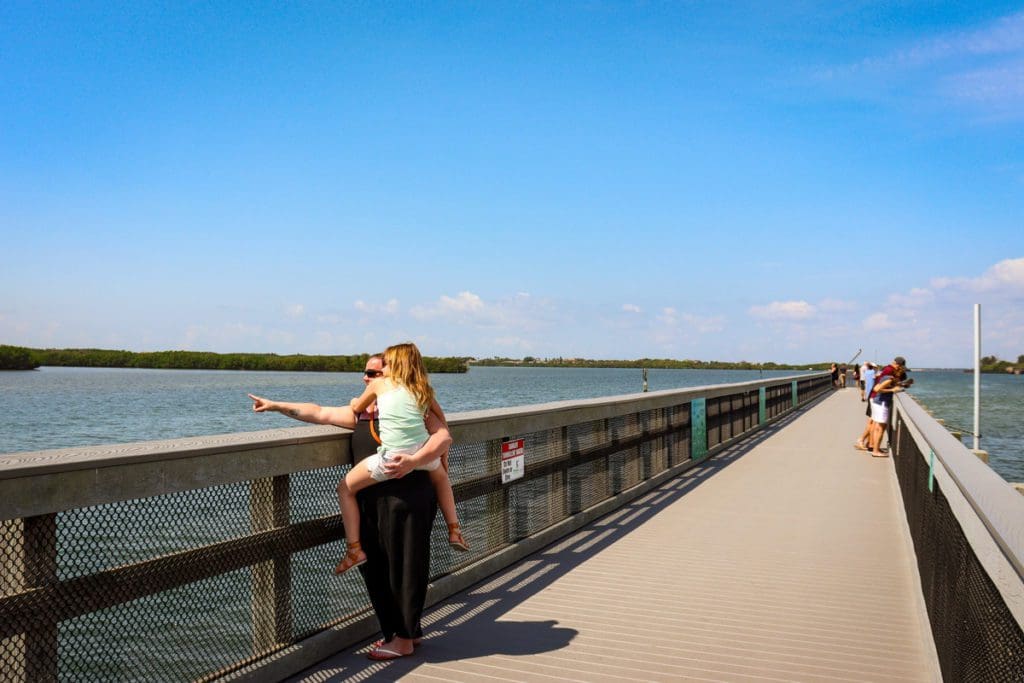 A woman and her daughter look out across a bay in search of manatees at the Manatee Viewing Center.