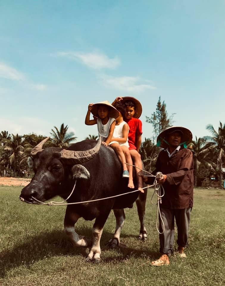 A farmer holds the reins of a water buffalo in a field, a top of which two children sit in Hanoi, Vietnam, one of the best places to visit in Asia with kids.
