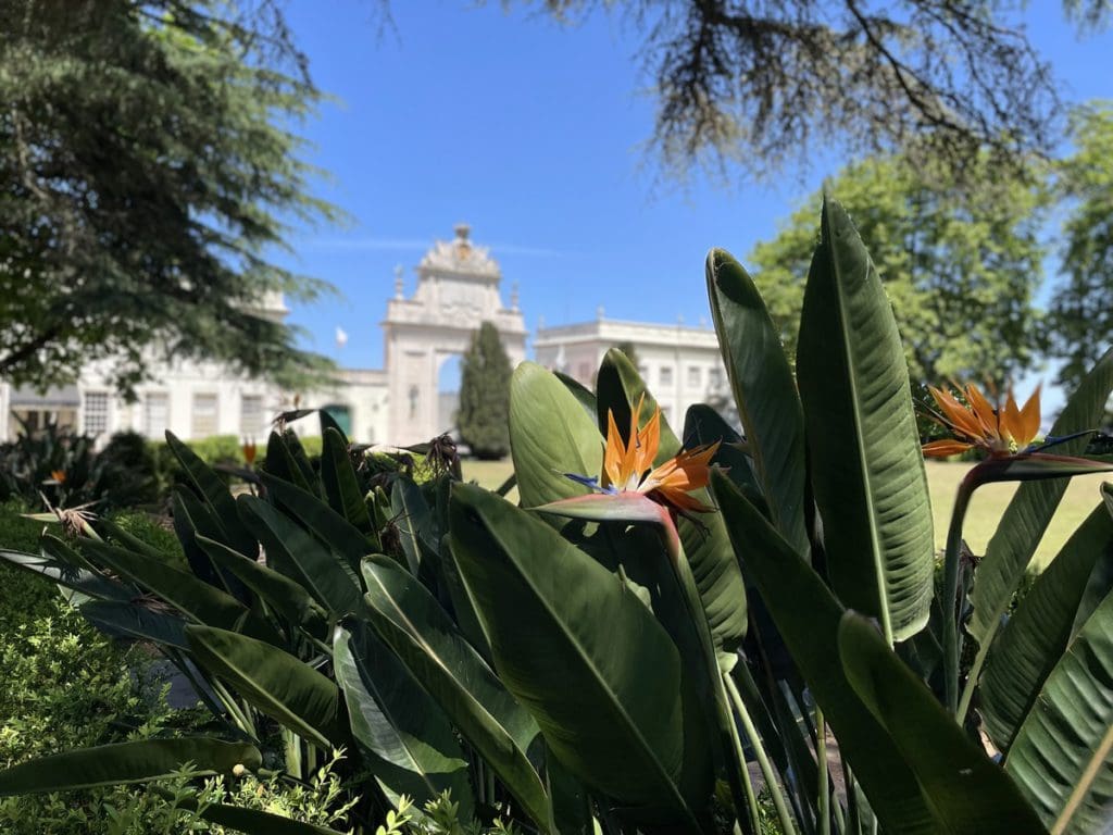 A beautiful garden in Sintra, a fun stop on any Lisbon itinerary with kids.