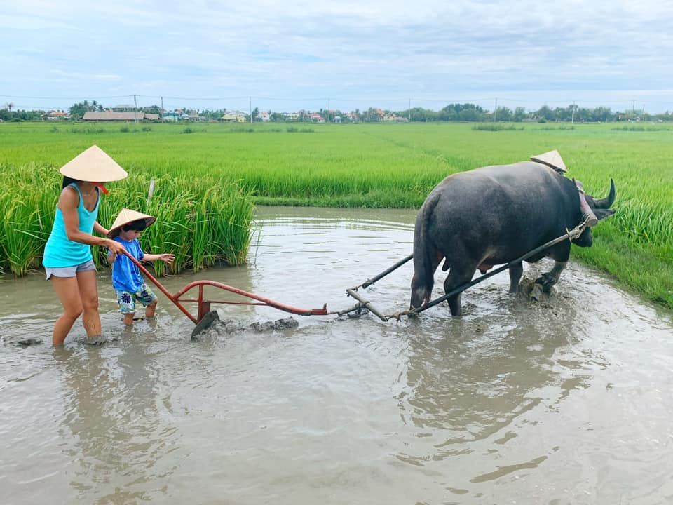 A woman and her son work at plowing a field with a water buffalo in Hội An, one of the best places to visit in Asia with kids.