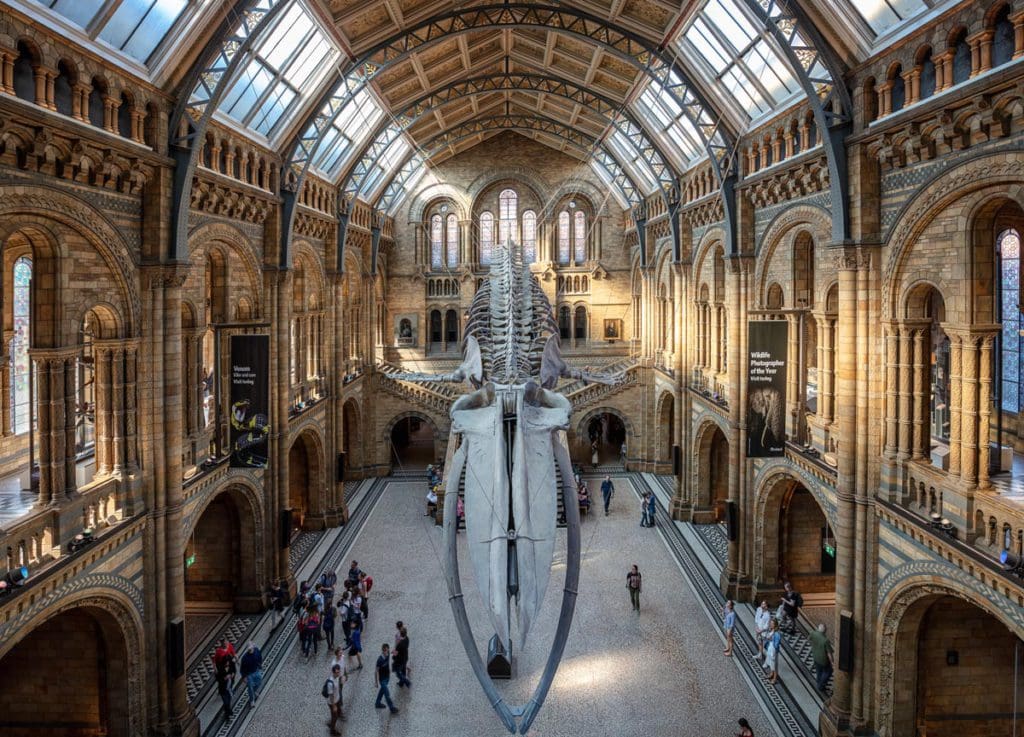 Inside the lobby of the The Natural History Museum leading to different galleries.