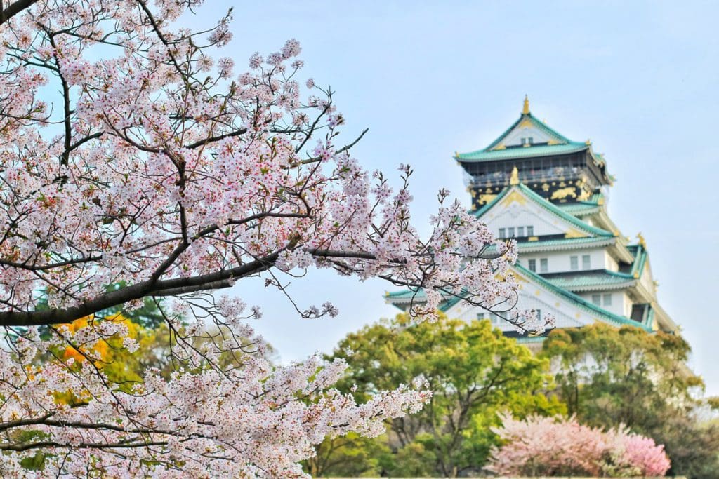 A temple in Osaka with blossoming cherry trees nearby. 