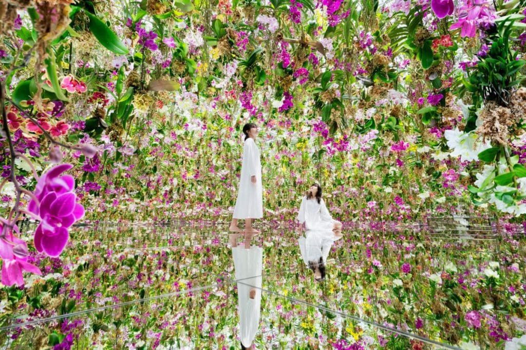 Two women explore inside one of the floral exhibits at TeamLab Planets.