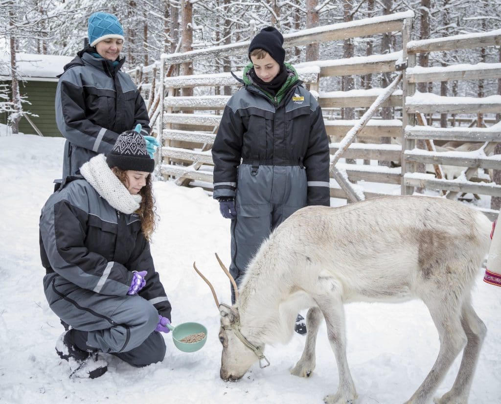 A family feeds a reindeer at the farm at Arctic Fox Igloos.