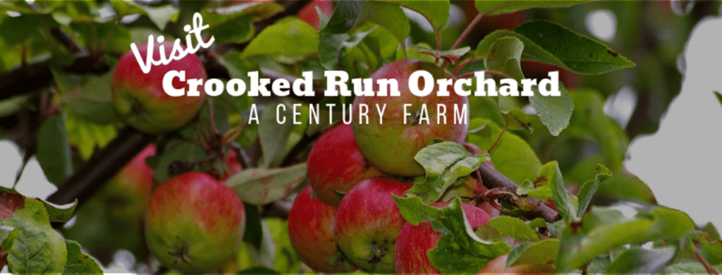 Apples on a tree, with a text overlay saying "Visit Crooked Run Orchard: A Century Farm". 