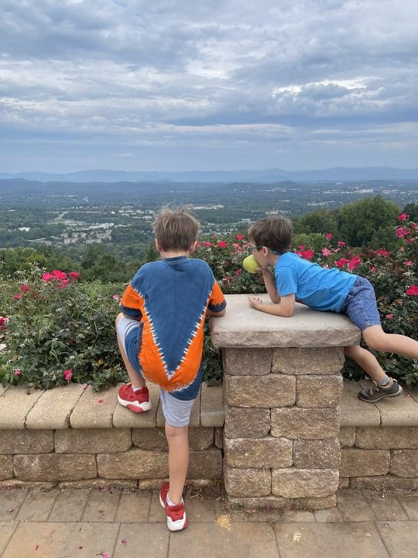 Two boys take in the scenic view from Carter Mountain Orchards in Virginia.