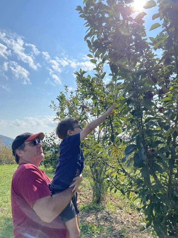 A dad picks his child up to pick an apple at Hartland Orchards.