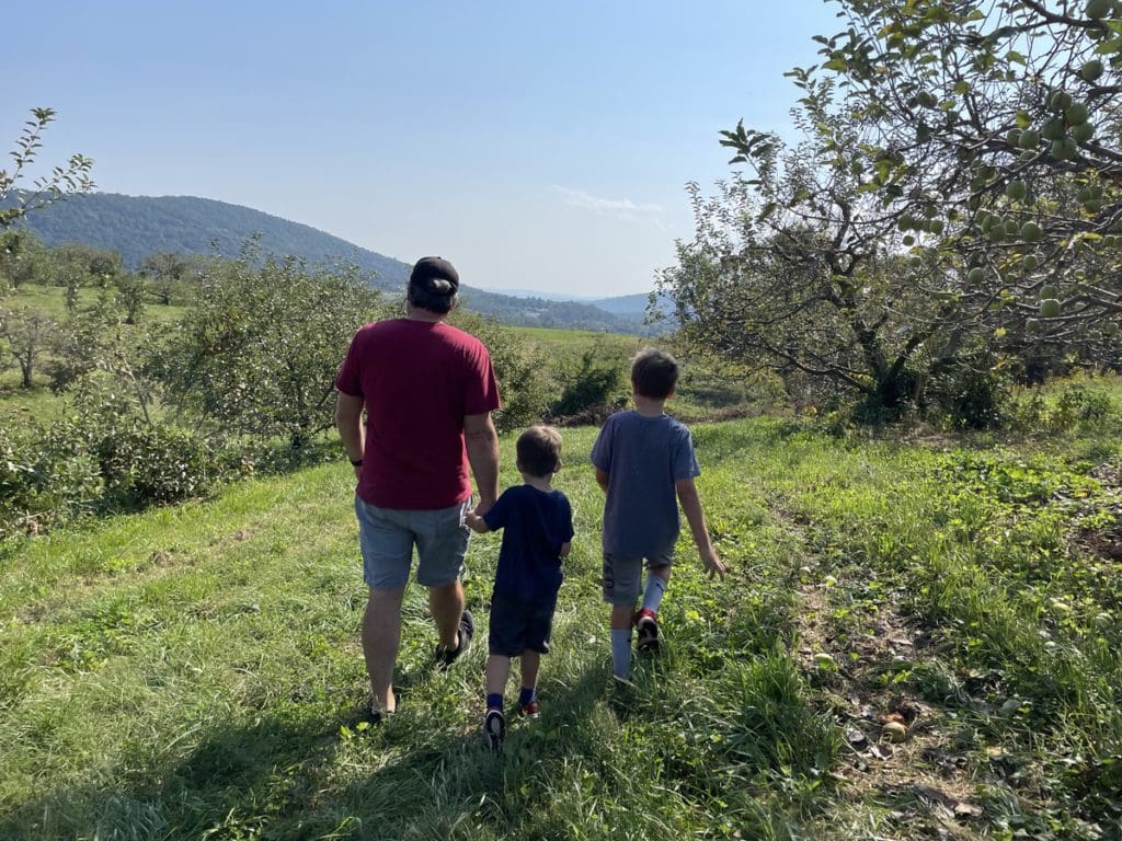 A dad and his two boys stroll through an apple orchard near Washington DC.