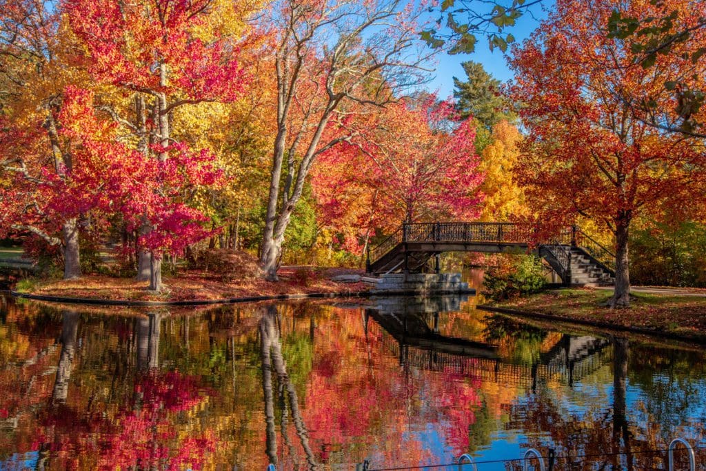 A beautiful fall view over a river in Providence, RI.