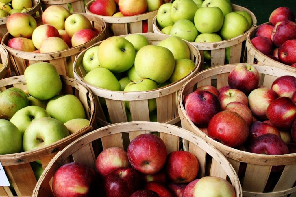 Baskets filled with apples at Larriland Farm in Maryland, ones of the best places to go apple-picking near Washington DC for families.