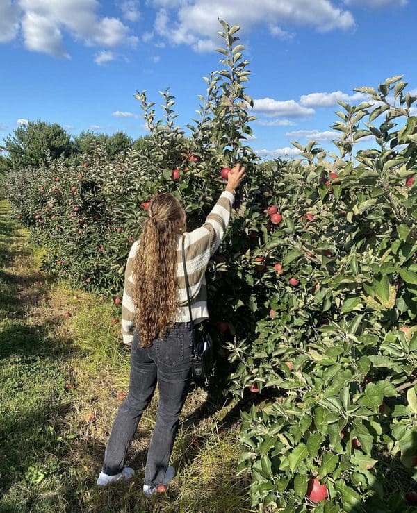A woman picks an apple at Milburn Orchards.