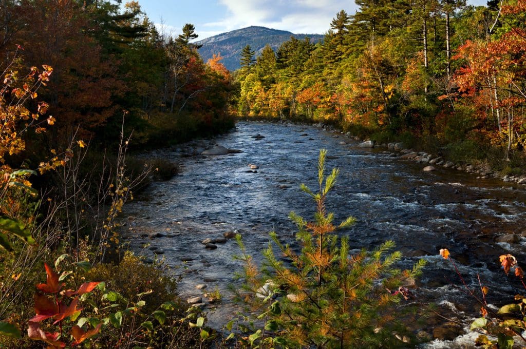 A lovely river cuts through North Conway, with vibrant fall foliage flanking both sides of the river.