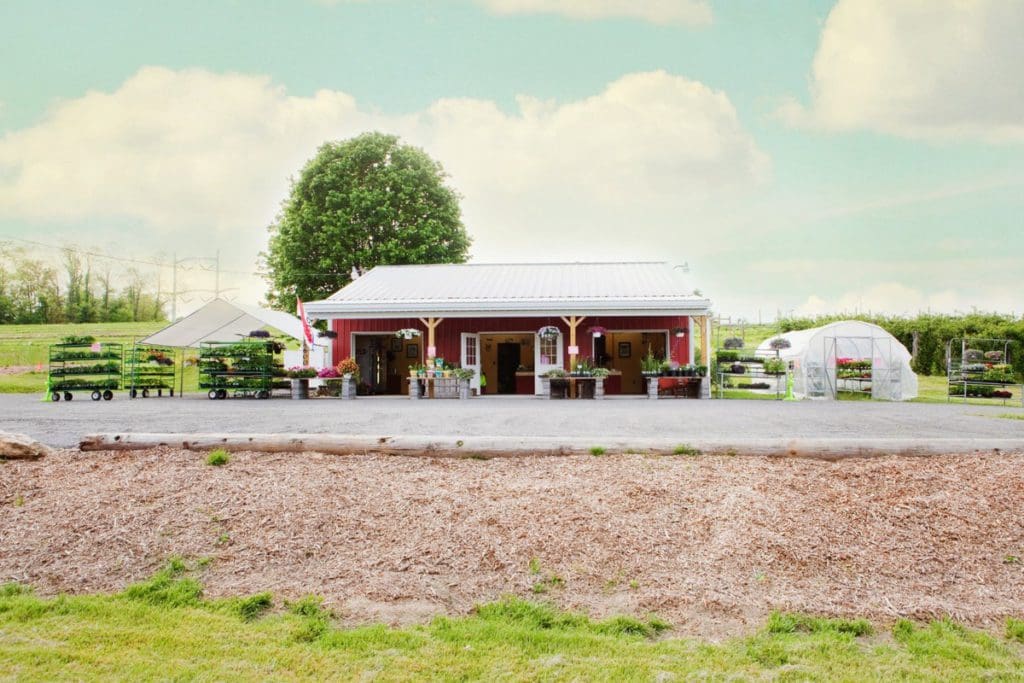 A farmhouse filled with fall finds like apples and pumpkins at Rock Hill Orchard in Maryland.