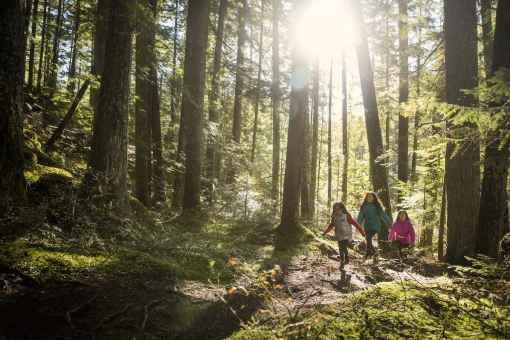A family hikes along a heavily wooded path near Whistler.