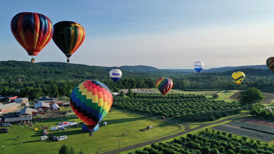 Several hot air balloons over Barton Orchards.