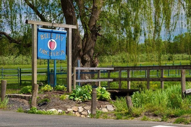 The entrance and sign to Blue Jay Orchards.