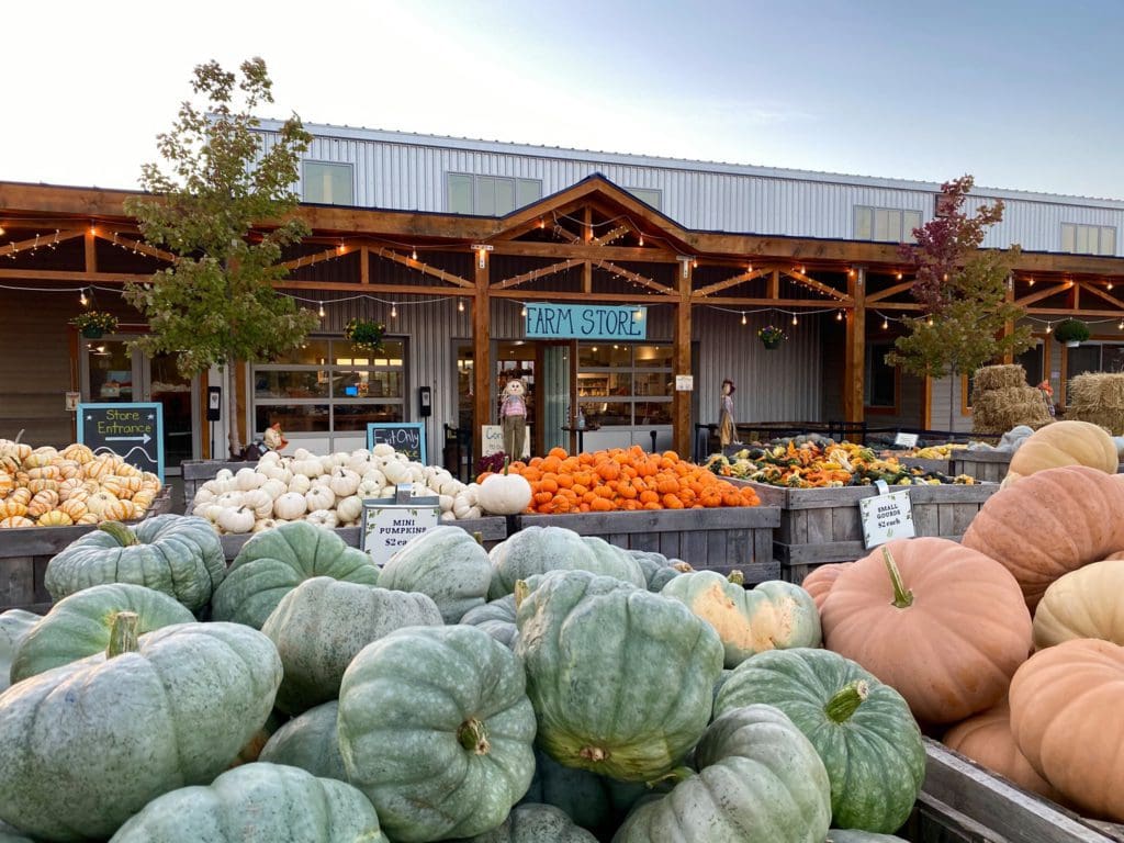 Baskets filled with pumpkins and other gourds at Fishkill Farms.