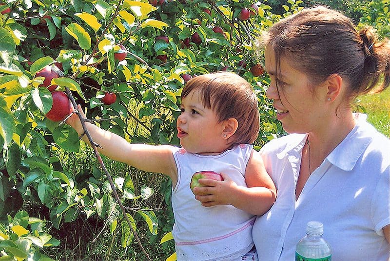 A woman and a young girl pick an apple from a tree at Masker Orchards, one of the best places to go apple picking near NYC with kids.