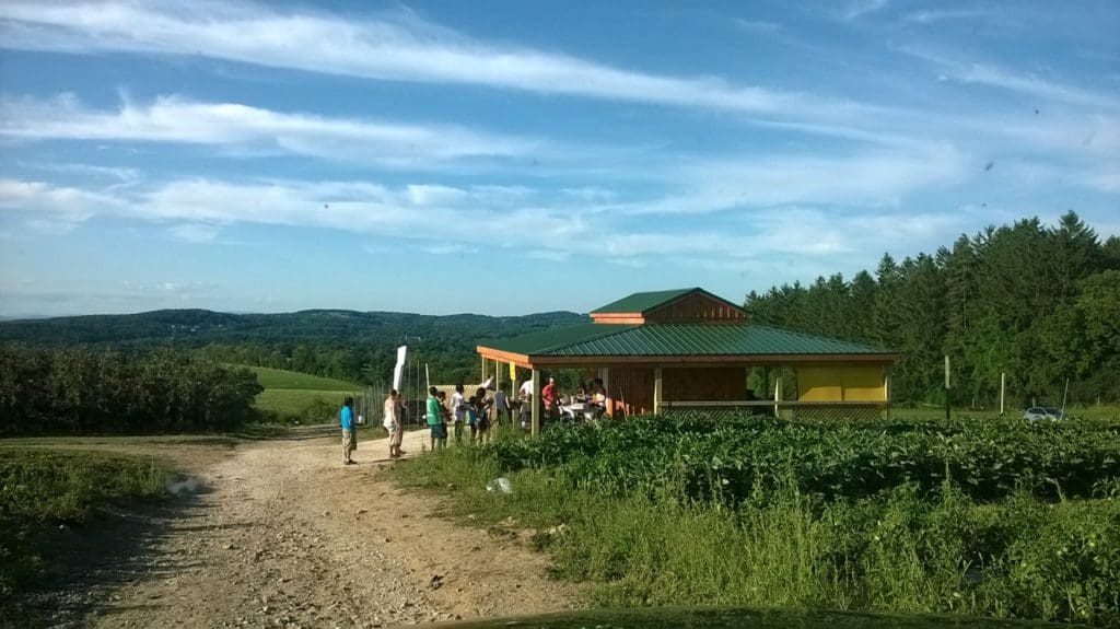 An apple picking area at Ochs Orchard, one of the best places to go apple picking near NYC with kids.