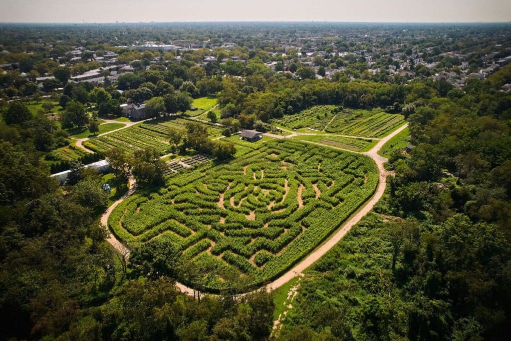 An aerial view of a maze at Queens County Farm, one of the best places to go apple picking near NYC with kids.