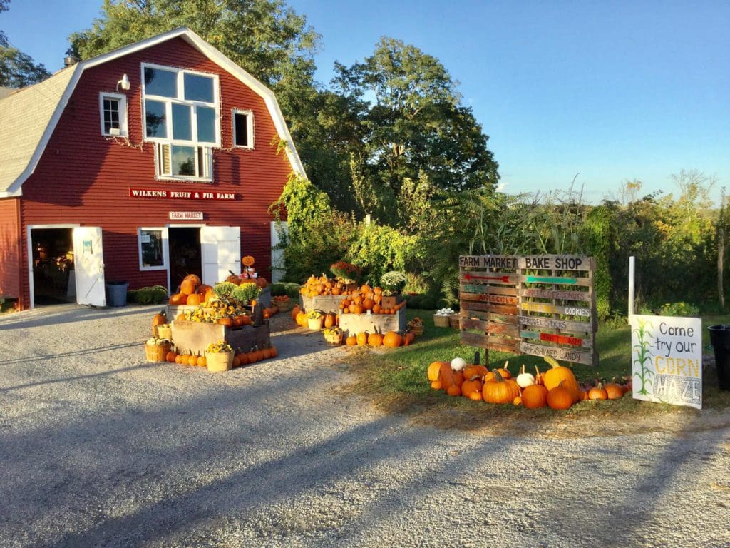 Entrance to the barn at Wilkens Fruit & Fir Farm, one of the best places to go apple picking near NYC with kids.