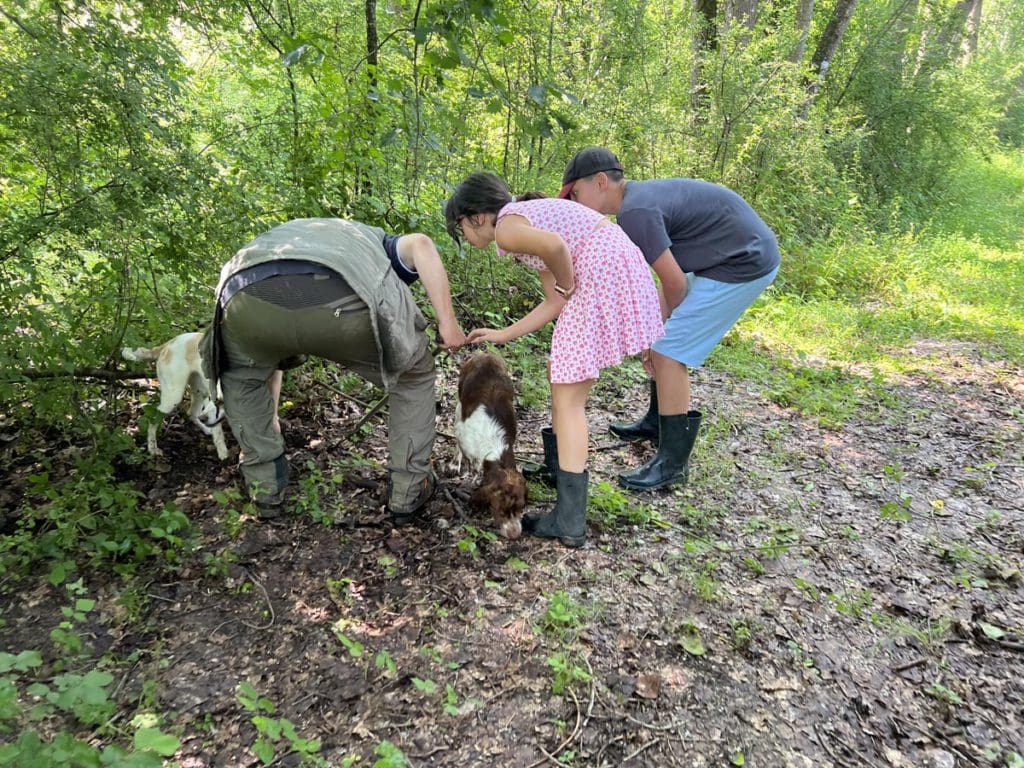 Two kids search for truffles in Tuscany with a guide and his dog.