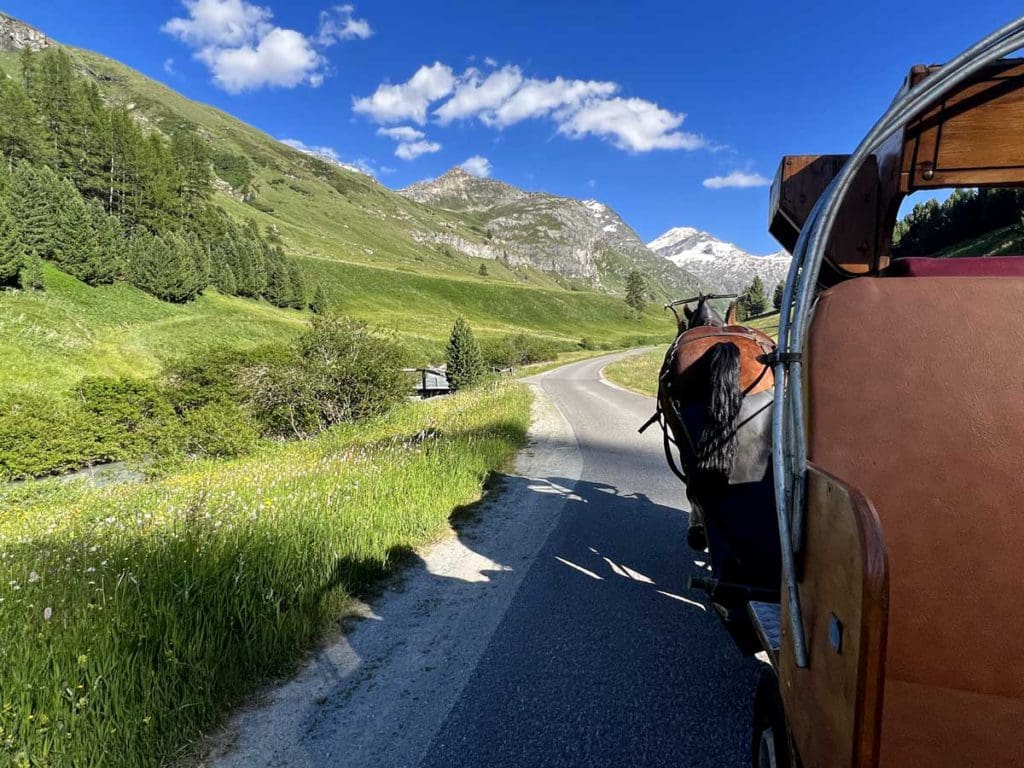 A horse pulls a carriage through the Val Fax Valley.