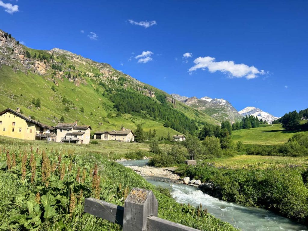 A scenic view of houses and a grassy area in the Val Fex Valley.