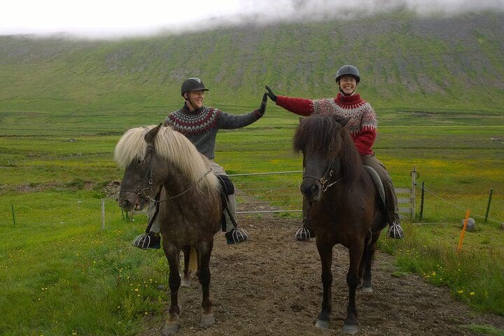 Two people high-five from their respective horse on the The Valley Ride Private HORSE RIDING Tour.