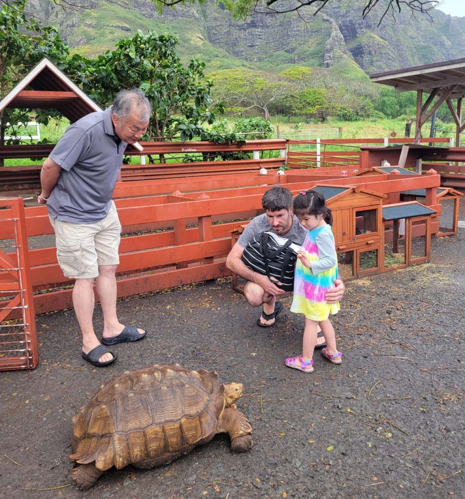 A family admires a large tortoise in Hawaii.