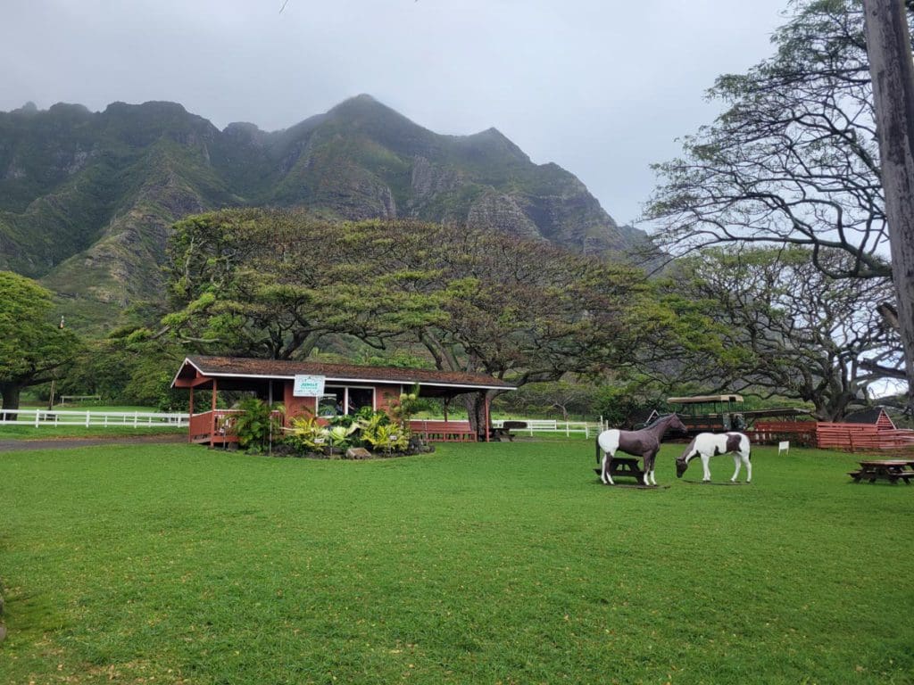 Horses walk around a grassy area at Kualoa Ranch & Private Nature Reserve.