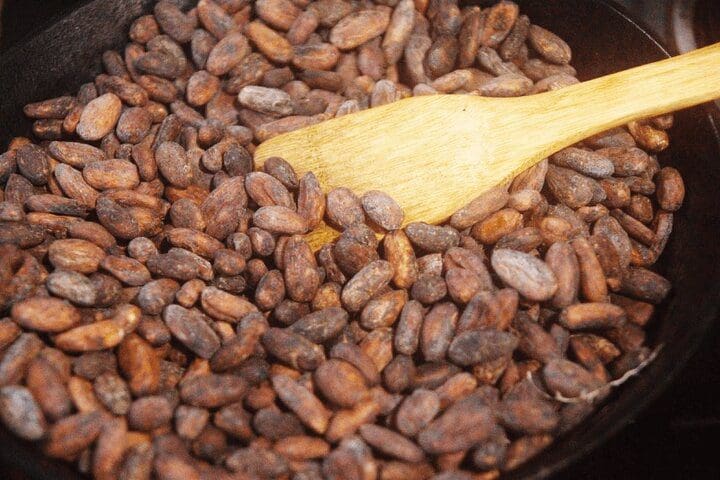 A spoon stirs seeds on a Chocolate and Farm Tour with Local Tico Family.