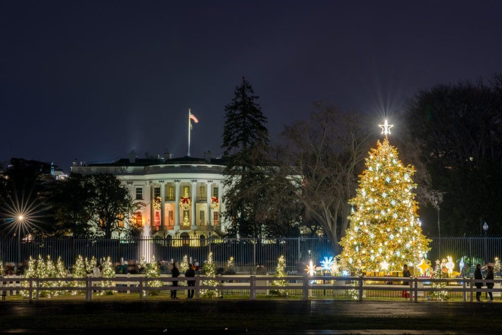 A large outdoor Christmas tree near the White House in Washington DC.